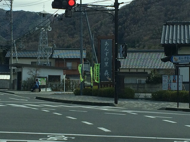 あんずの里・千曲市森であんずの花見に行ってきた　その１　あんずの花とあんずソフト