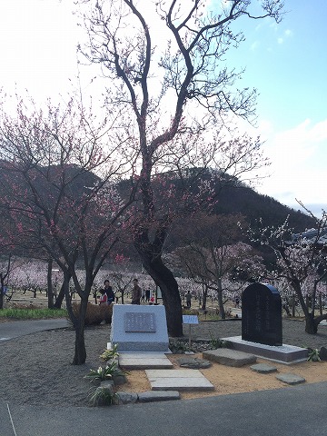 あんずの里・千曲市森であんずの花見に行ってきた　その３　あんずの里スケッチパーク