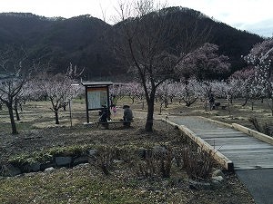 IMG_7786