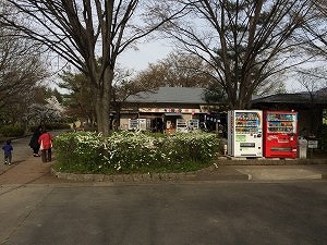IMG_8217