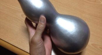 ひょうたんを苗から育てて作ってみた