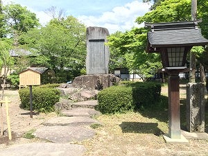 IMG_9725