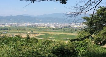 子供が４人いると兄弟喧嘩がすごい。四兄弟の育児は並大抵ではないという件