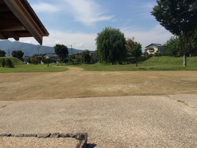 アレルギー性鼻炎が辛い・・。花粉症じゃないのにくしゃみと鼻水が止まらない