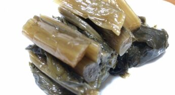 長野の名産「野沢菜漬け」お茶のお供はこれっきゃない。信州特産物！