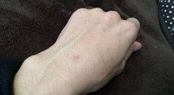 年を取るとババ毛が生えてくる。年をとるからこそ眉毛を整えよう！
