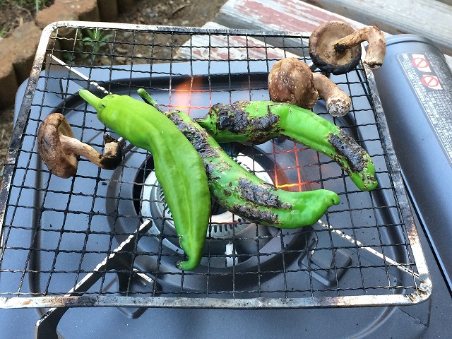 夏のビールに最高!男のおつまみ「唐辛子やぼたん胡椒の直火焼き」