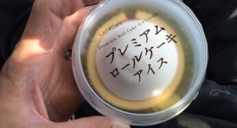 プレミアムロールケーキアイスというロールケーキのアイスをローソンで買った