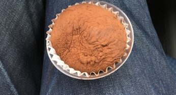 ふわっとろてぃらみすわらびが美味しい！セブンイレブンオススメスイーツ！
