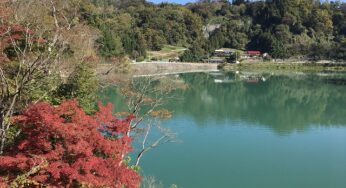 長野の観光スポット久米路峡の紅葉を見に行ってきた。絶景也