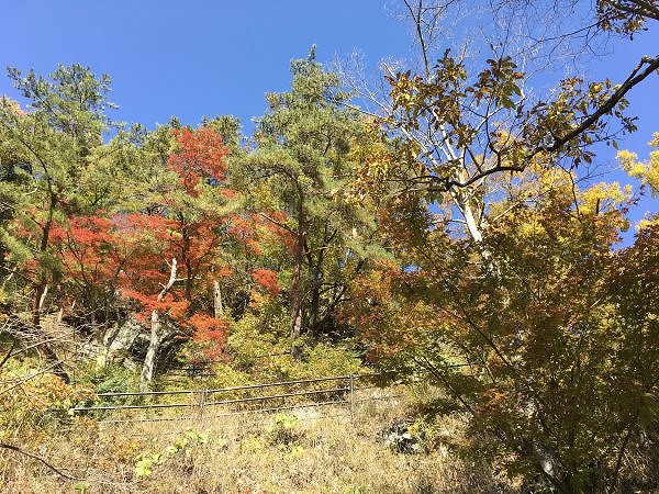 2016-10-15-044