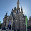 約20年ぶりに東京ディズニーランドへ行ってみた、正直な感想